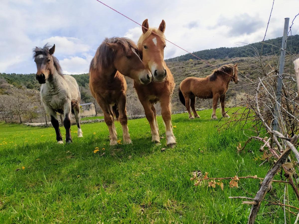 Hostal Pas De La Pera Aransá Kültér fotó